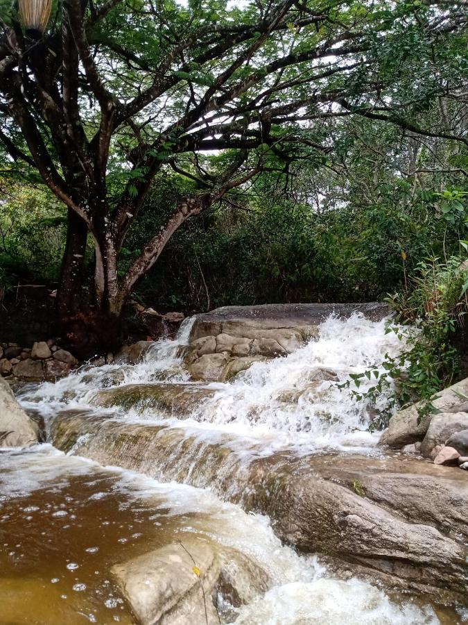Terra De Aruanda Pousada Palmeiras  Exterior foto